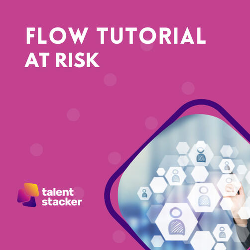 Flow Tutorial | At Risk